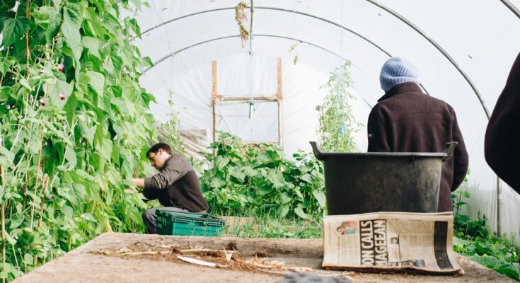 Farm Jobs in Italy with Free Housing – Seasonal Work Guide 2026